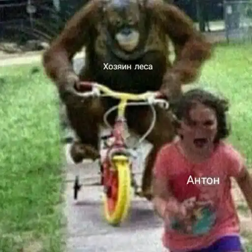 Зайчик MEMES preview