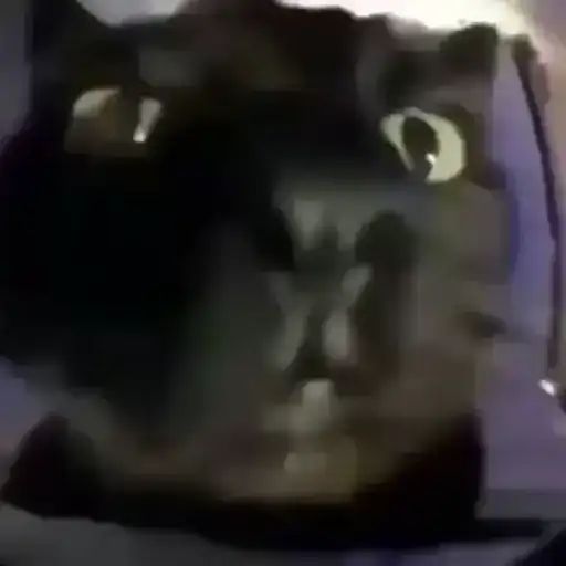 Stikery Emoji20 by Tg Emodzi Bot preview