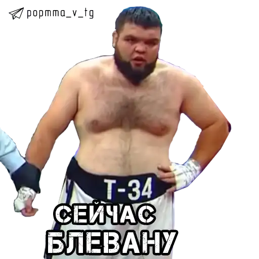 НОВОСТИ POP MMA preview