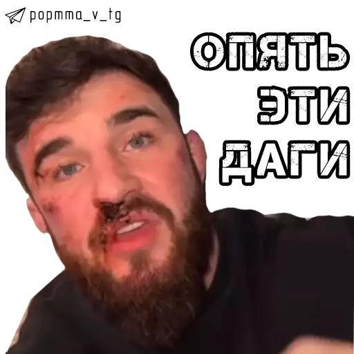 НОВОСТИ POP MMA preview