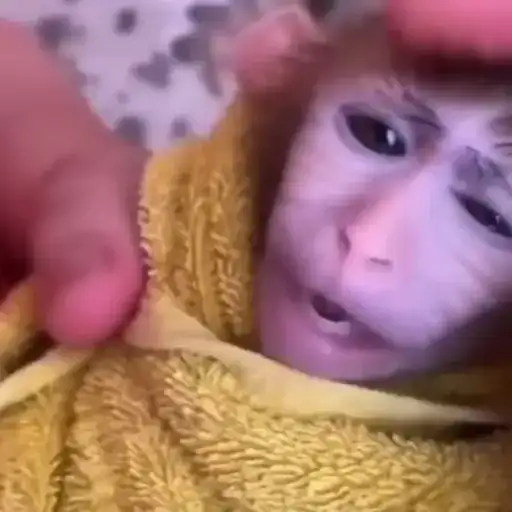 Sticker 🧖‍♂️