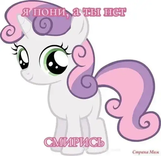 I pony a ti net smiris preview