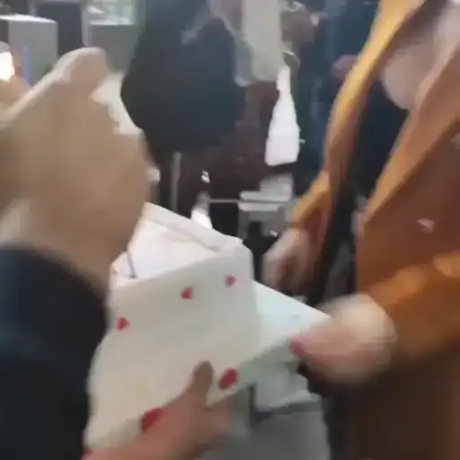 𝗕𝘂𝗿𝗰𝘂 preview