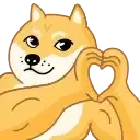 Doge preview