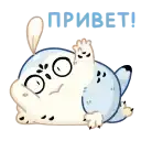 Бук preview