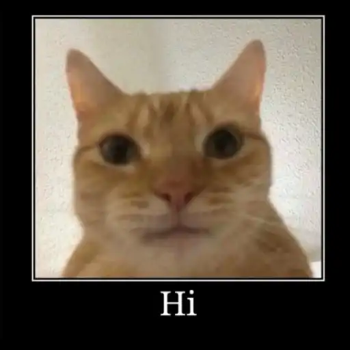 Локальные и не очень мемы preview