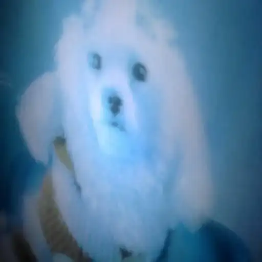 Локальные и не очень мемы preview