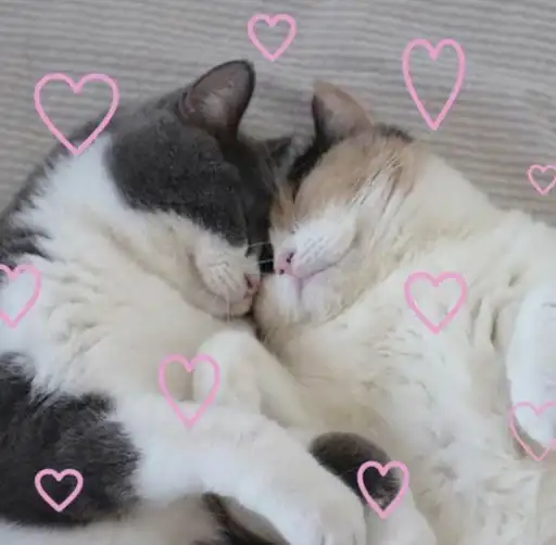 Sticker ❤️