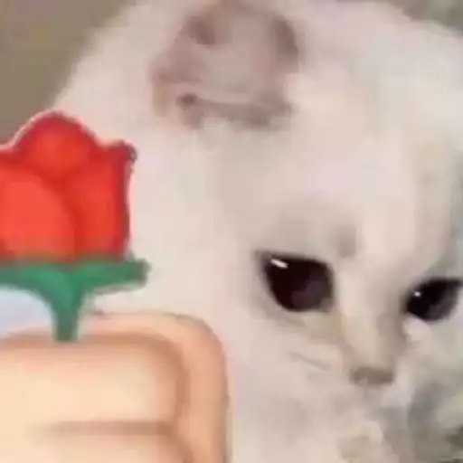 Sticker 🌹