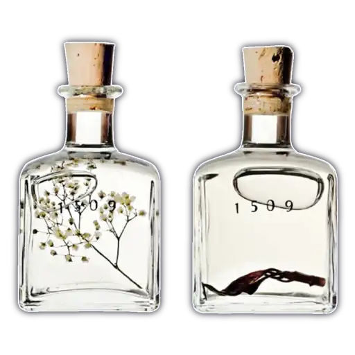 cassette aesthetics preview