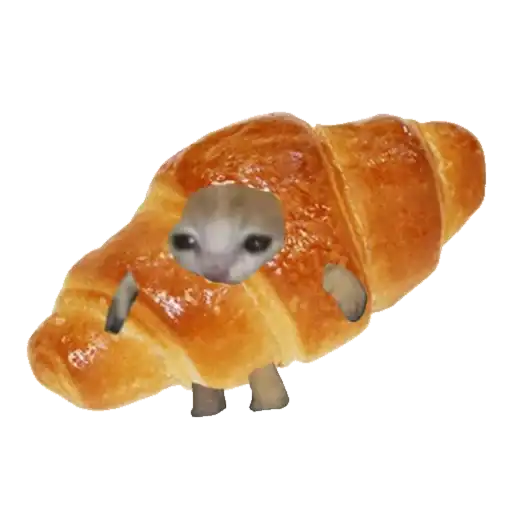 Типо коты еда preview