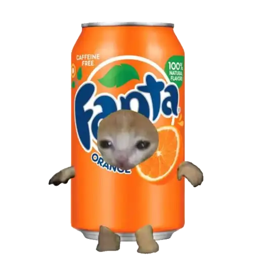 Типо коты еда preview