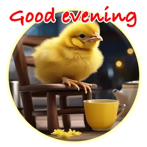 Magic Chicken channel preview