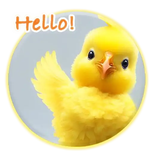 Magic Chicken channel preview