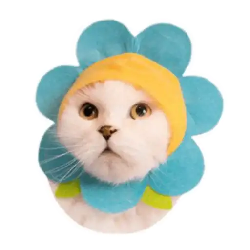 Kitty_of_the_better preview