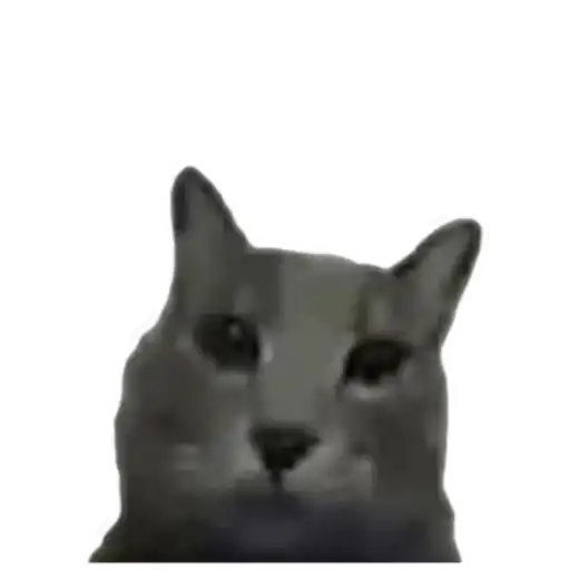 Kitty_of_the_better preview