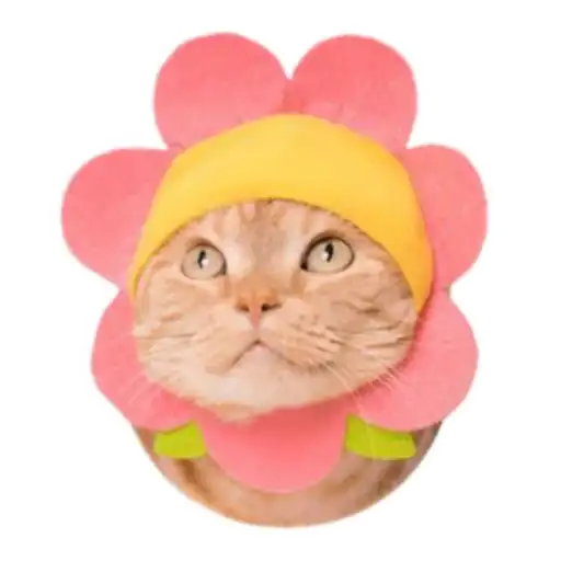 Sticker 🐈