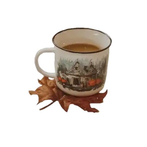 Aesthetics🍂 preview