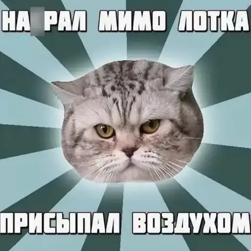 Sticker 😼
