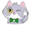 Sbercat & Kusya preview