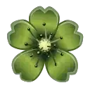 Sakura Flower preview