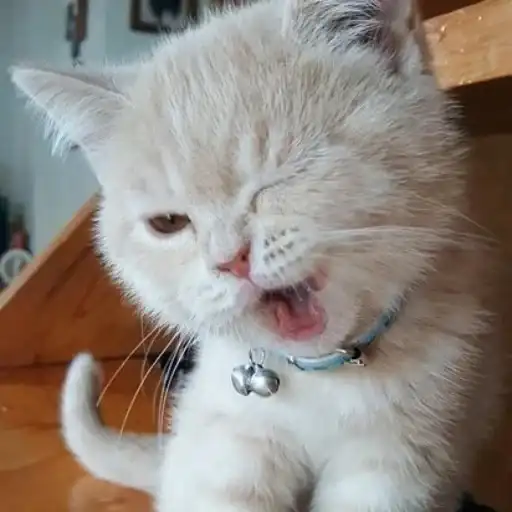 🩷 канал со стиками preview