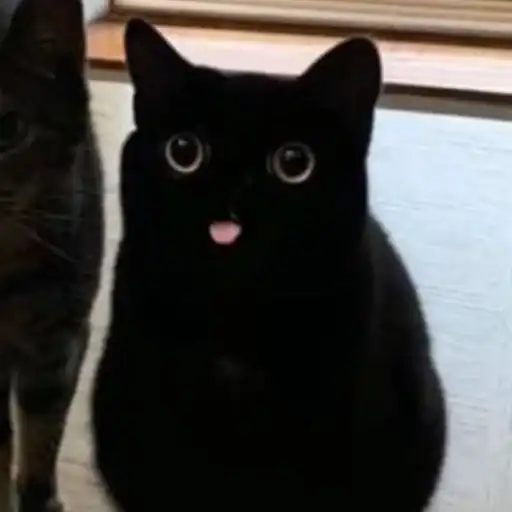 Dark cat AstRa OWN preview