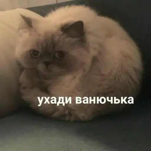 Мемы для АуТиСтОв preview