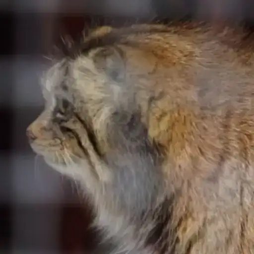 Sticker 🤦‍♀️