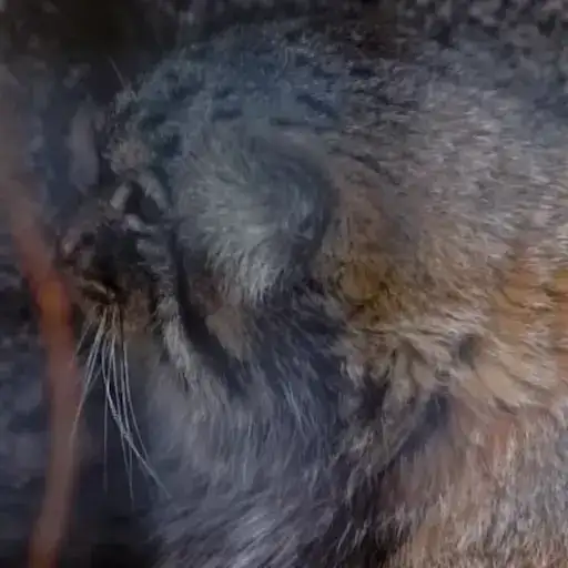 Sticker 🤷‍♀️