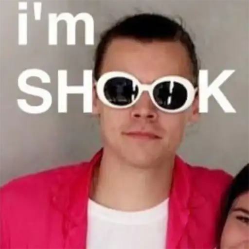 Harry Styles preview