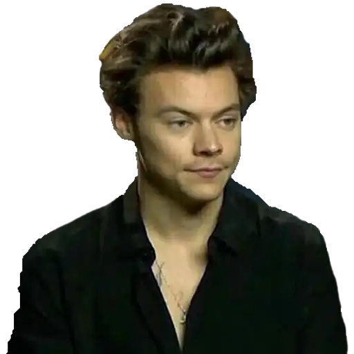 Harry Styles preview