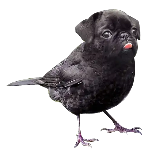 Strange Animals preview