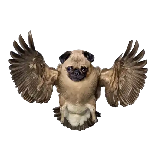 Strange Animals preview