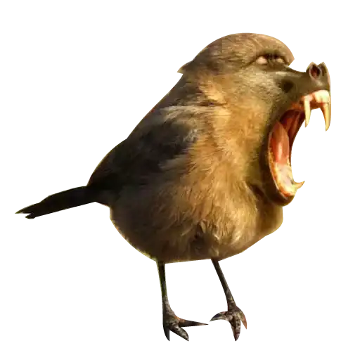 Strange Animals preview