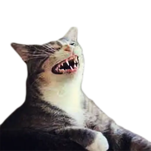 Котейки preview