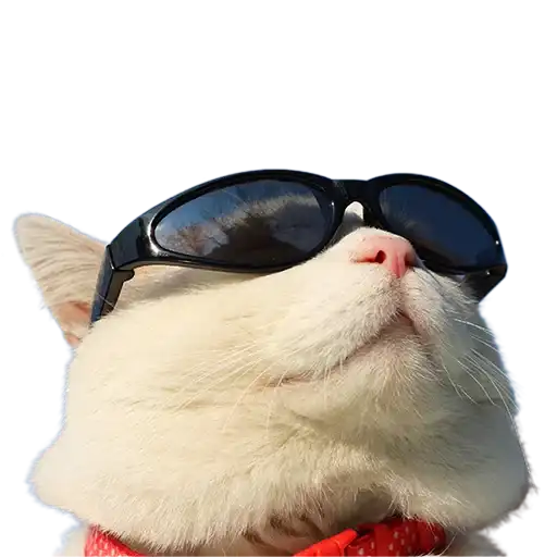 Котейки preview