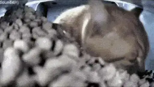 Sticker 😶‍🌫️