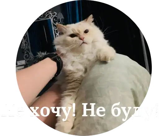 Кинкиса preview