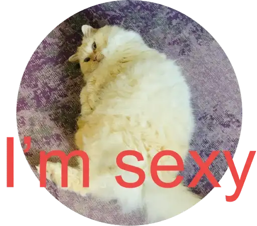 Кинкиса preview