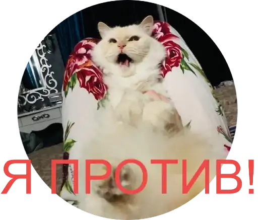 Sticker 🙅‍♀️