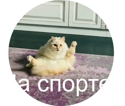 Sticker 🏃‍♀️