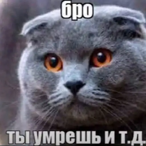 Бро, ты умрешь и т.д preview