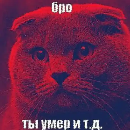 Бро, ты умрешь и т.д preview