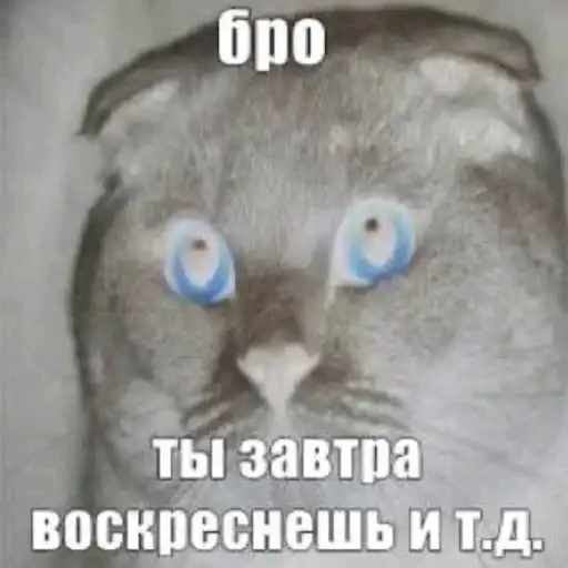 Бро, ты умрешь и т.д preview