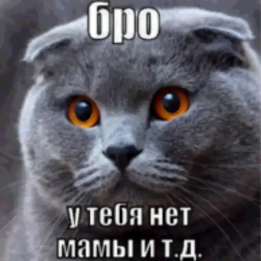 Бро, ты умрешь и т.д preview