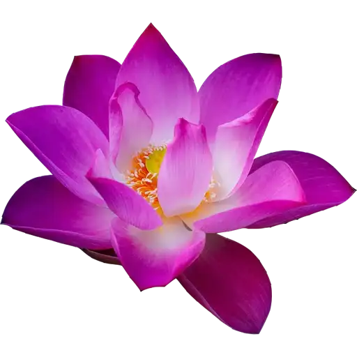 8 Марта preview