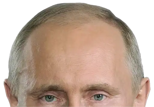 Russian Politics preview