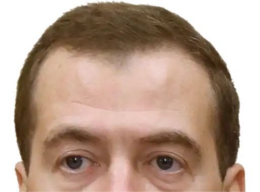 Russian Politics preview