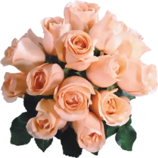 Цветы 2 preview